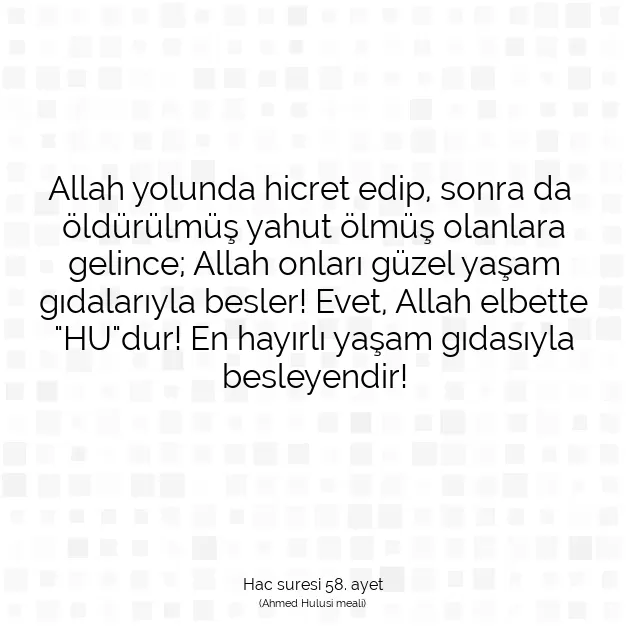 Ayetbul | Kuran Mealleri | Quran | Hac suresi 58. ayet