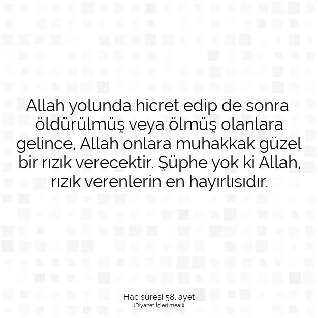 Ayetbul | Kuran Mealleri | Quran | Hac suresi 58. ayet