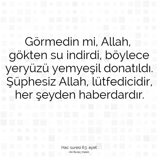 Ayetbul | Kuran Mealleri | Quran | Hac suresi 63. ayet