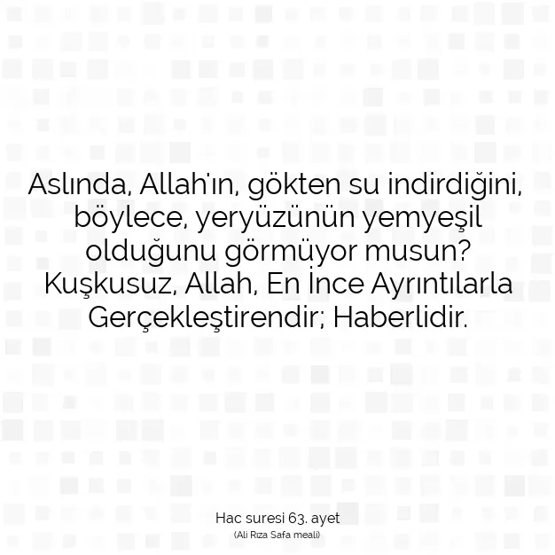 Ayetbul | Kuran Mealleri | Quran | Hac suresi 63. ayet