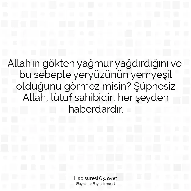 Ayetbul | Kuran Mealleri | Quran | Hac suresi 63. ayet