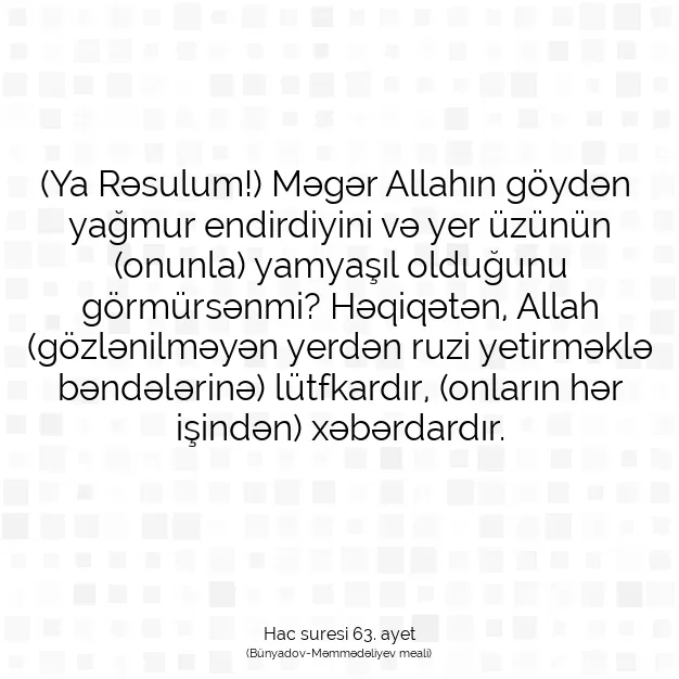 Ayetbul | Kuran Mealleri | Quran | Hac suresi 63. ayet