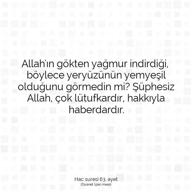 Ayetbul | Kuran Mealleri | Quran | Hac suresi 63. ayet