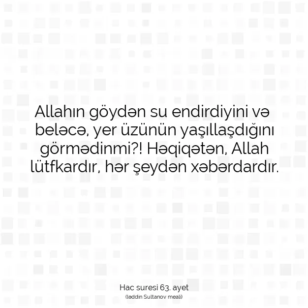 Ayetbul | Kuran Mealleri | Quran | Hac suresi 63. ayet