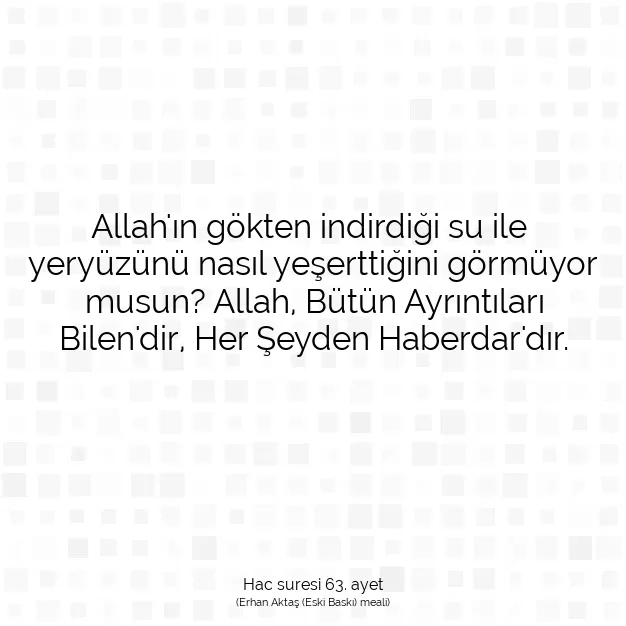 Ayetbul | Kuran Mealleri | Quran | Hac suresi 63. ayet