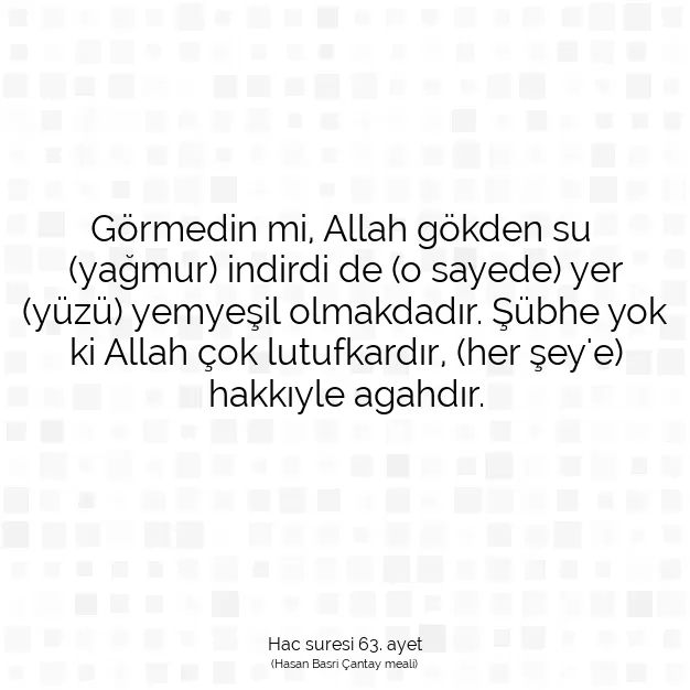 Ayetbul | Kuran Mealleri | Quran | Hac suresi 63. ayet