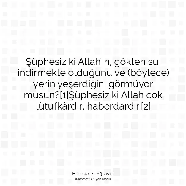 Ayetbul | Kuran Mealleri | Quran | Hac suresi 63. ayet