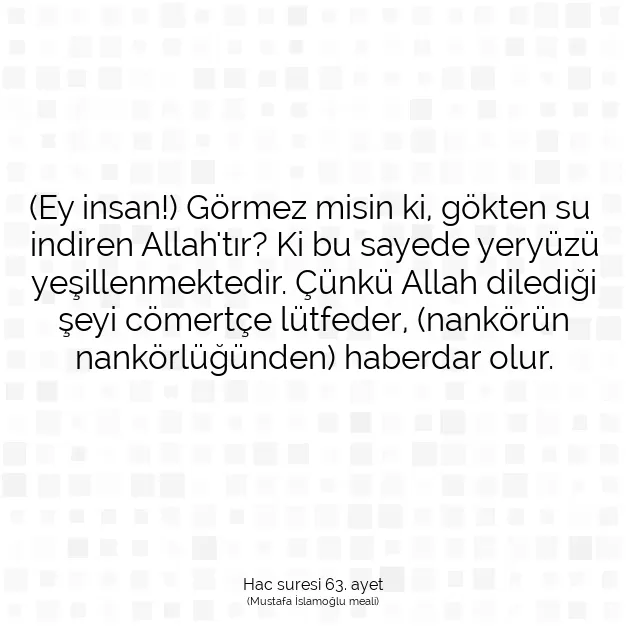 Ayetbul | Kuran Mealleri | Quran | Hac suresi 63. ayet