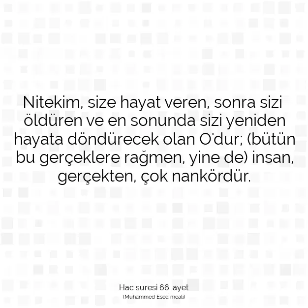 Ayetbul | Kuran Mealleri | Quran | Hac suresi 66. ayet