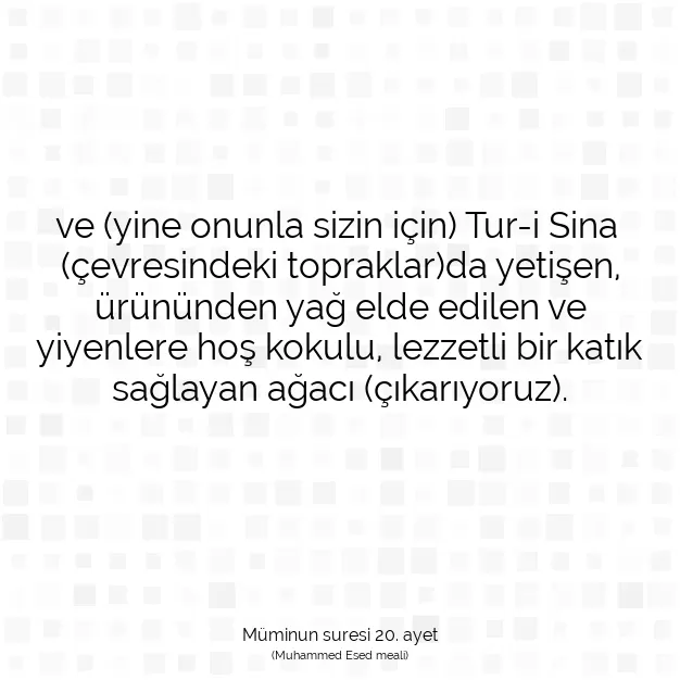 Ayetbul | Kuran Mealleri | Quran | Müminun suresi 20. ayet