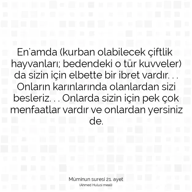 Ayetbul | Kuran Mealleri | Quran | Müminun suresi 21. ayet