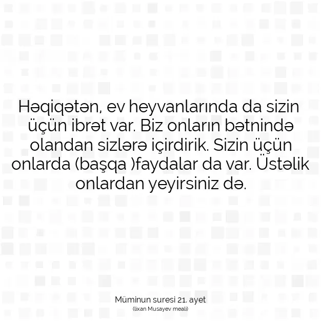 Ayetbul | Kuran Mealleri | Quran | Müminun suresi 21. ayet