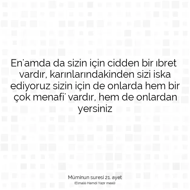 Ayetbul | Kuran Mealleri | Quran | Müminun suresi 21. ayet