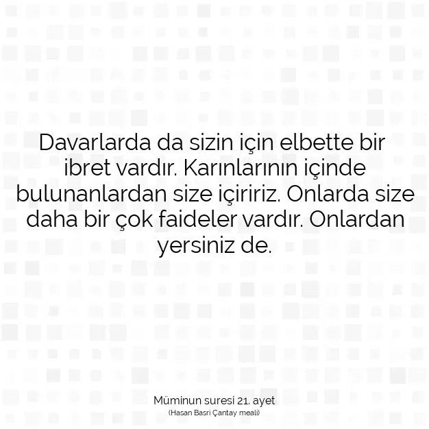 Ayetbul | Kuran Mealleri | Quran | Müminun suresi 21. ayet