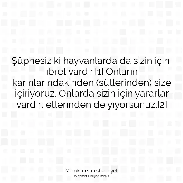 Ayetbul | Kuran Mealleri | Quran | Müminun suresi 21. ayet