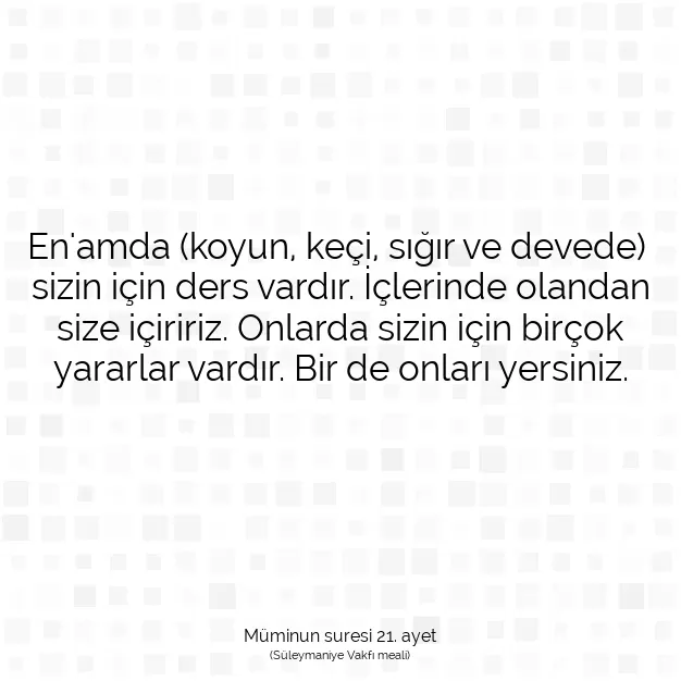 Ayetbul | Kuran Mealleri | Quran | Müminun suresi 21. ayet