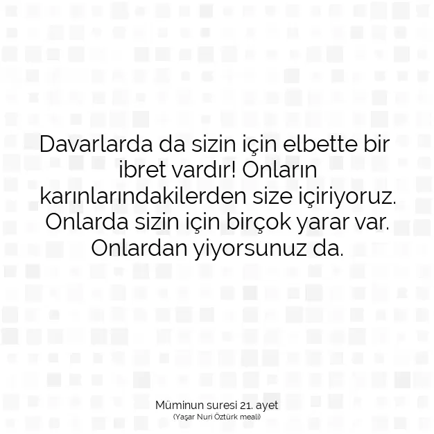 Ayetbul | Kuran Mealleri | Quran | Müminun suresi 21. ayet