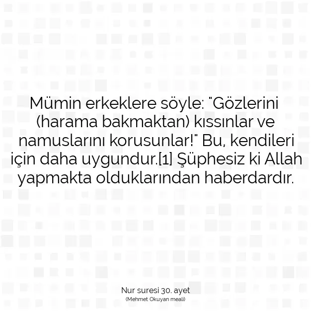 Ayetbul | Kuran Mealleri | Quran | Nur suresi 30. ayet