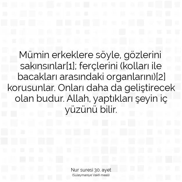 Ayetbul | Kuran Mealleri | Quran | Nur suresi 30. ayet