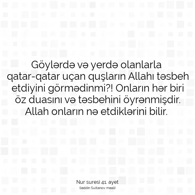 Ayetbul | Kuran Mealleri | Quran | Nur suresi 41. ayet