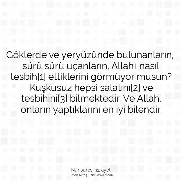 Ayetbul | Kuran Mealleri | Quran | Nur suresi 41. ayet