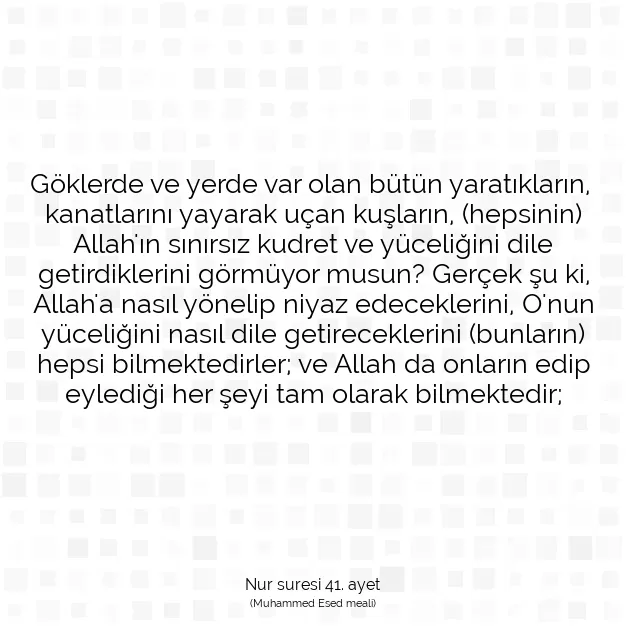 Ayetbul | Kuran Mealleri | Quran | Nur suresi 41. ayet