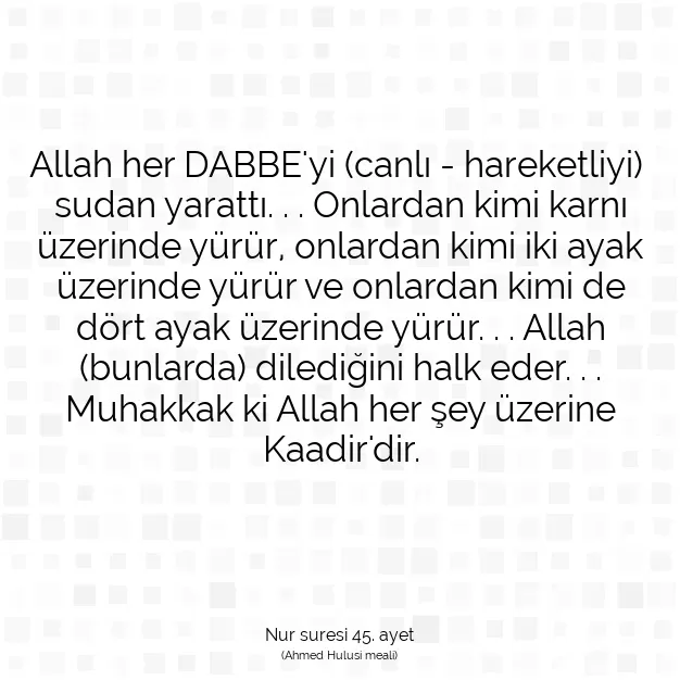 Ayetbul | Kuran Mealleri | Quran | Nur suresi 45. ayet