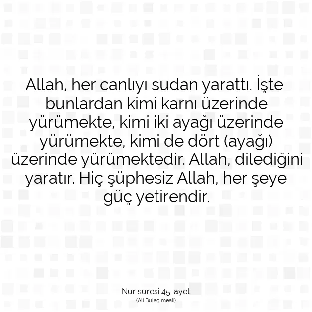 Ayetbul | Kuran Mealleri | Quran | Nur suresi 45. ayet