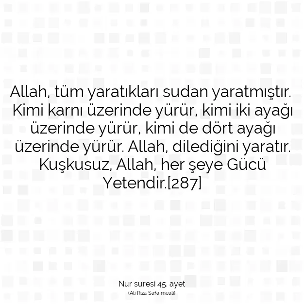 Ayetbul | Kuran Mealleri | Quran | Nur suresi 45. ayet