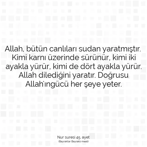 Ayetbul | Kuran Mealleri | Quran | Nur suresi 45. ayet