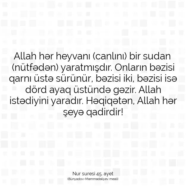 Ayetbul | Kuran Mealleri | Quran | Nur suresi 45. ayet