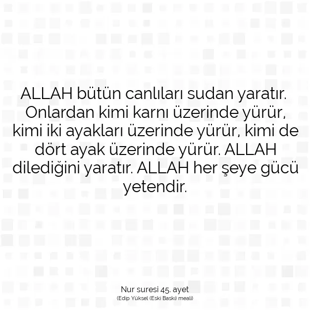 Ayetbul | Kuran Mealleri | Quran | Nur suresi 45. ayet