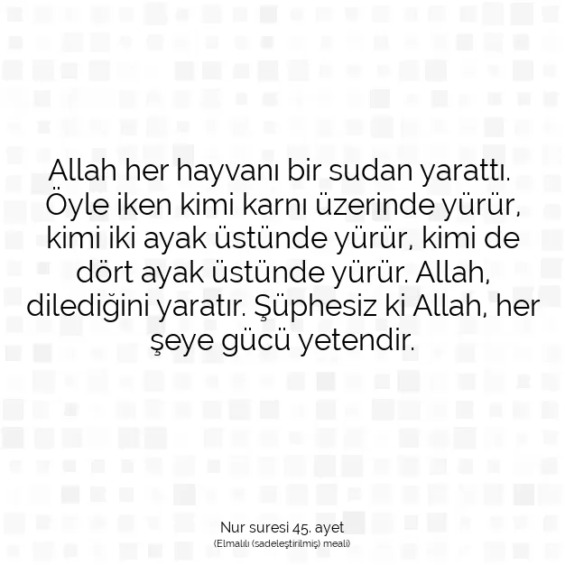 Ayetbul | Kuran Mealleri | Quran | Nur suresi 45. ayet