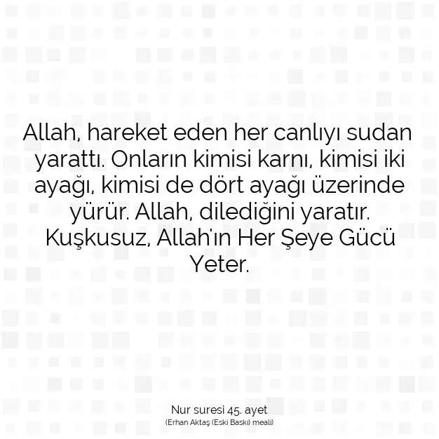 Ayetbul | Kuran Mealleri | Quran | Nur suresi 45. ayet