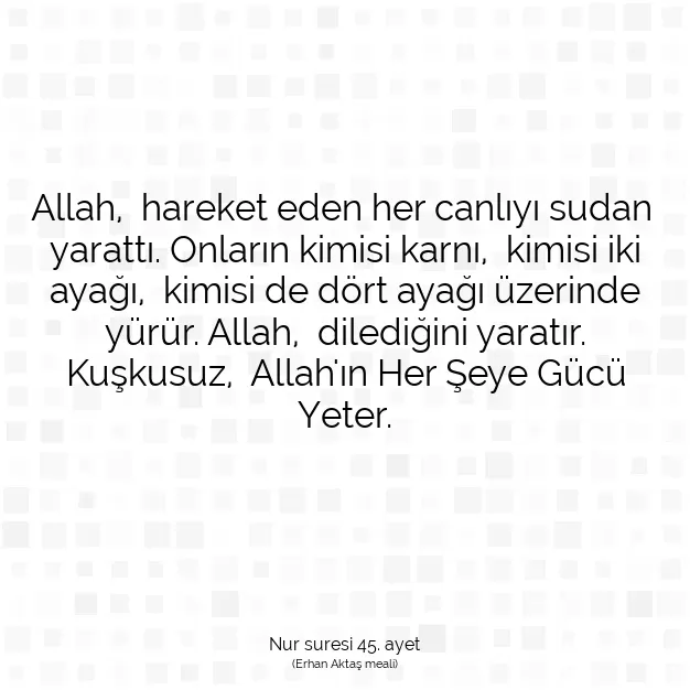 Ayetbul | Kuran Mealleri | Quran | Nur suresi 45. ayet