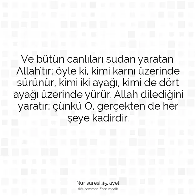 Ayetbul | Kuran Mealleri | Quran | Nur suresi 45. ayet