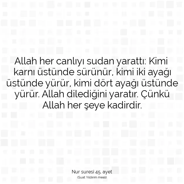 Ayetbul | Kuran Mealleri | Quran | Nur suresi 45. ayet