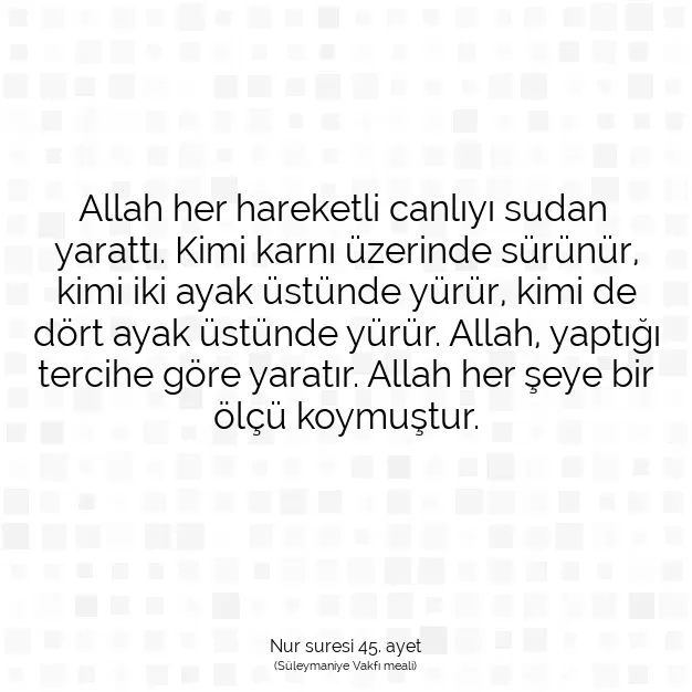 Ayetbul | Kuran Mealleri | Quran | Nur suresi 45. ayet