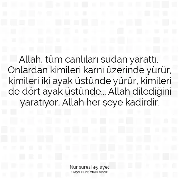 Ayetbul | Kuran Mealleri | Quran | Nur suresi 45. ayet