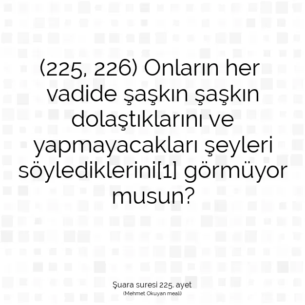 Ayetbul | Kuran Mealleri | Quran | Şuara suresi 225. ayet