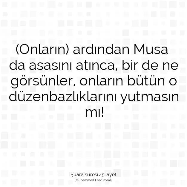 Ayetbul | Kuran Mealleri | Quran | Şuara suresi 45. ayet