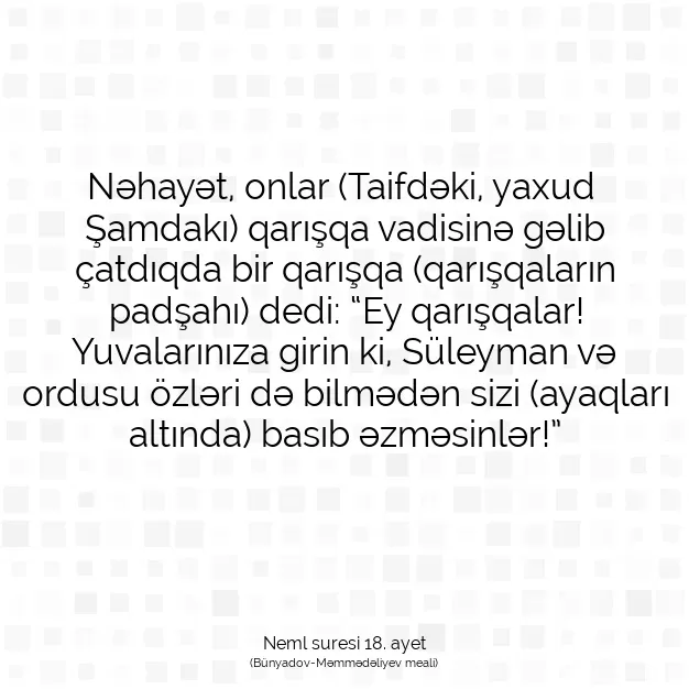 Ayetbul | Kuran Mealleri | Quran | Neml suresi 18. ayet