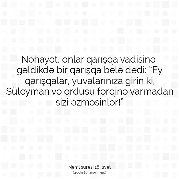 Ayetbul | Kuran Mealleri | Quran | Neml suresi 18. ayet