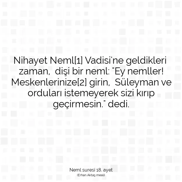 Ayetbul | Kuran Mealleri | Quran | Neml suresi 18. ayet