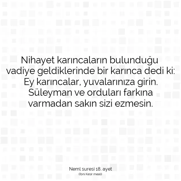 Ayetbul | Kuran Mealleri | Quran | Neml suresi 18. ayet