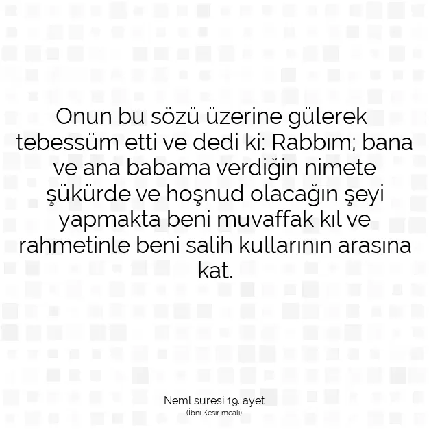 Ayetbul | Kuran Mealleri | Quran | Neml suresi 19. ayet