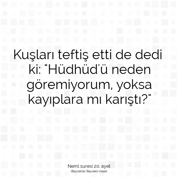 Ayetbul | Kuran Mealleri | Quran | Neml suresi 20. ayet