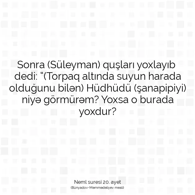 Ayetbul | Kuran Mealleri | Quran | Neml suresi 20. ayet