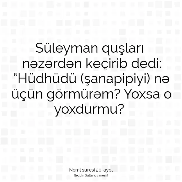 Ayetbul | Kuran Mealleri | Quran | Neml suresi 20. ayet