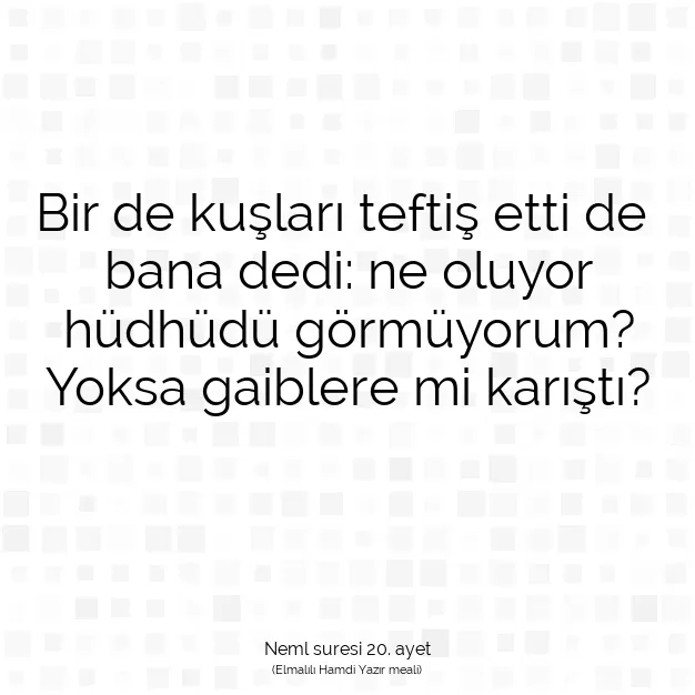 Ayetbul | Kuran Mealleri | Quran | Neml suresi 20. ayet